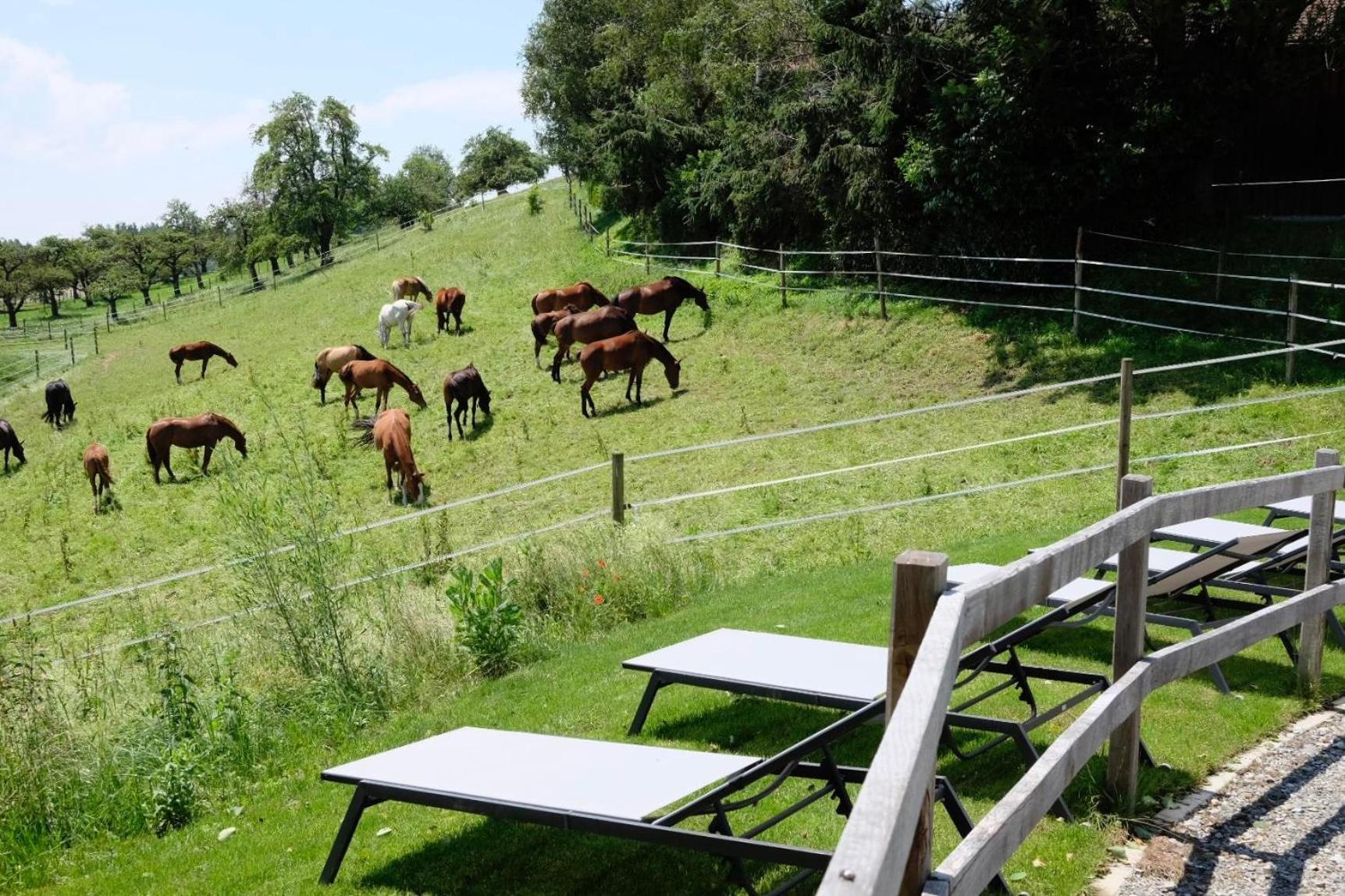 Trautesheim Ferienwohnungen Wangen im Allgaeu Luaran gambar