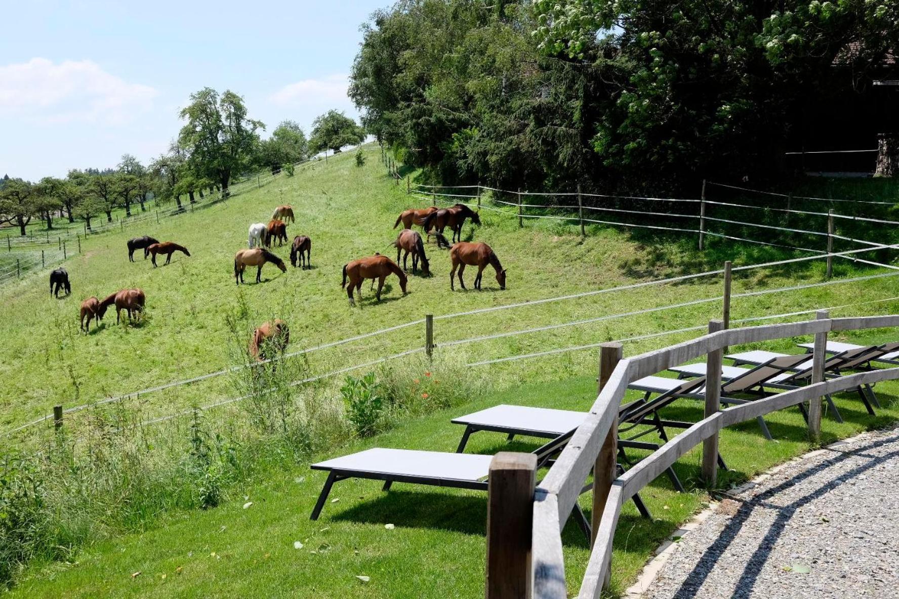 Trautesheim Ferienwohnungen Wangen im Allgaeu Luaran gambar